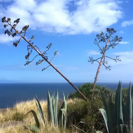 Nocleg ze śniadaniem Casa Luminosa Bocacangrejo